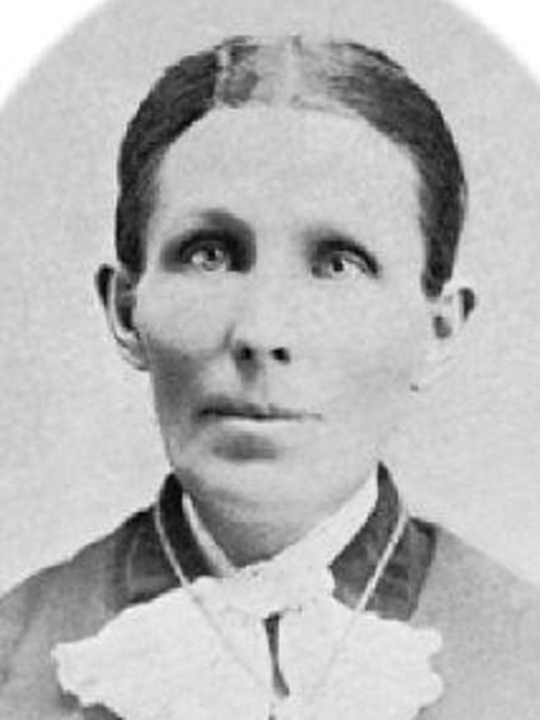 Lydia Knight (1844 - 1905) Profile